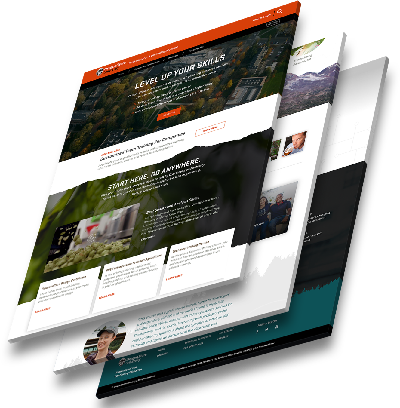Funnel Studio | Web Canopy Studio