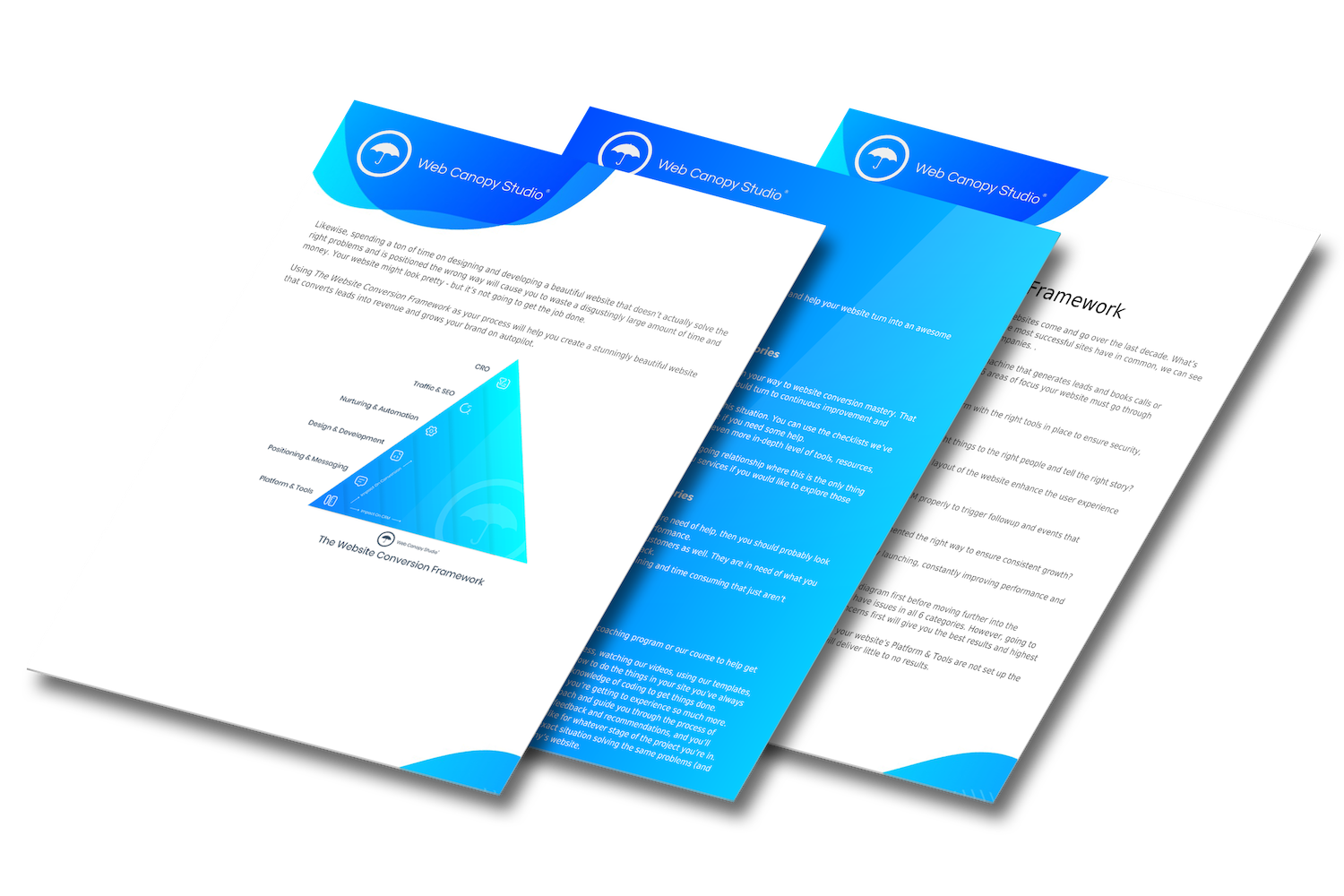 website conversion assessment
